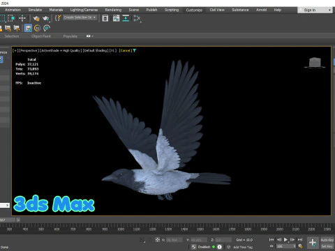 Corvo dal cappuccio animato realistico Modello 3D