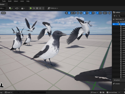 Realistic Animated Hooded Crow 3D Model