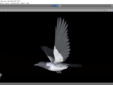 Realistic Animated Hooded Crow 3D Model
