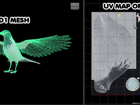 Realistic Animated Hooded Crow 3D Model