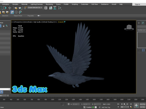 Realistic Animated Carrion Crow Modello 3D