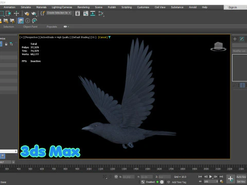 Cornacchia nera animata realistica Modello 3D