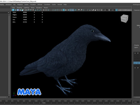 Realistic Animated Carrion Crow Modello 3D