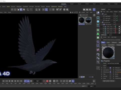 Realistic Animated Carrion Crow Modello 3D