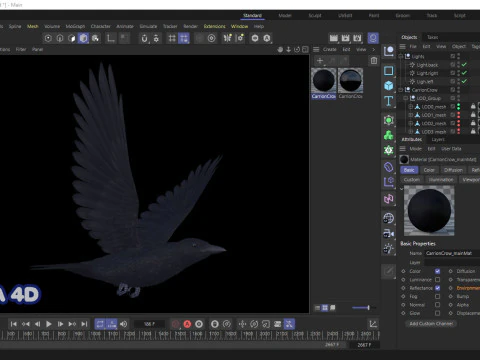 Cornacchia nera animata realistica Modello 3D