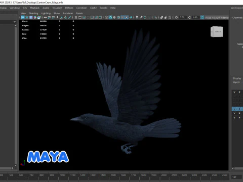 Cornacchia nera animata realistica Modello 3D