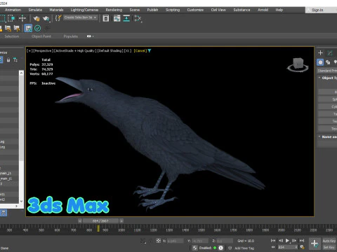 Cornacchia nera animata realistica Modello 3D