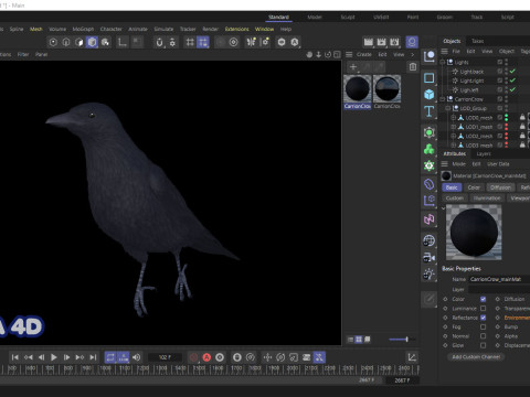 Realistic Animated Carrion Crow Modello 3D