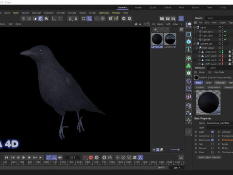 Cornacchia nera animata realistica Modello 3D