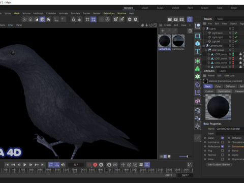 Realistic Animated Carrion Crow Modello 3D