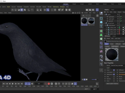 Cornacchia nera animata realistica Modello 3D