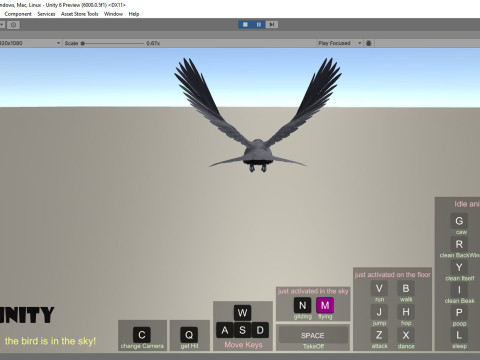 Realistic Animated Carrion Crow Modello 3D