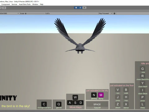 Cornacchia nera animata realistica Modello 3D