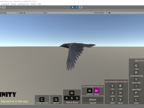 Realistic Animated Carrion Crow Modello 3D