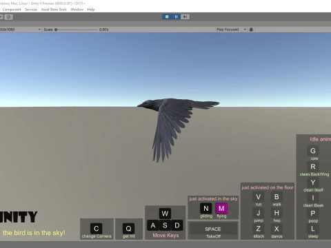 Cornacchia nera animata realistica Modello 3D
