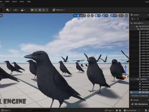 Cornacchia nera animata realistica Modello 3D