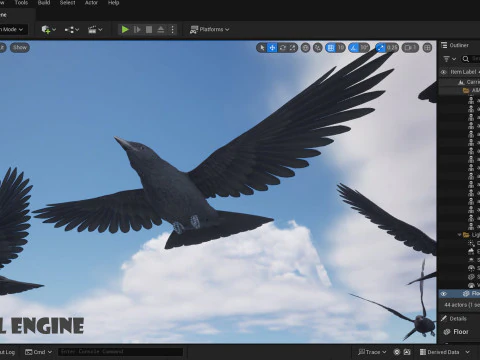 Cornacchia nera animata realistica Modello 3D
