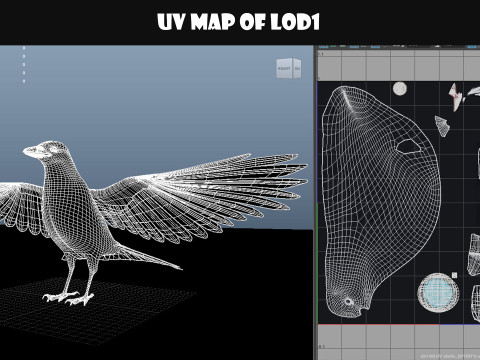 Realistic Animated Carrion Crow Modello 3D