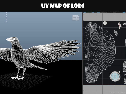 Cornacchia nera animata realistica Modello 3D