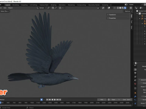 Cornacchia nera animata realistica Modello 3D