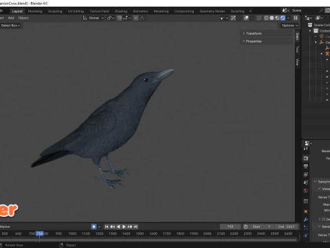 Cornacchia nera animata realistica Modello 3D
