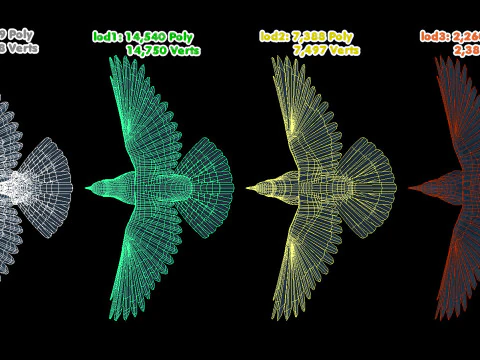 Cornacchia nera animata realistica Modello 3D