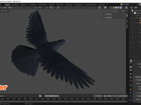 Cornacchia nera animata realistica Modello 3D