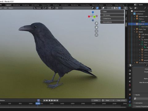 Realistic Animated Raven 3D Model