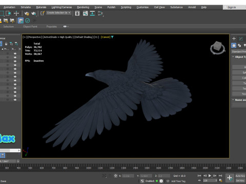 Realistic Animated Raven 3D Model