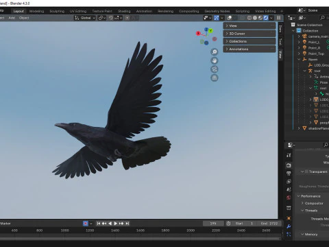 Corvo animato realistico Modello 3D