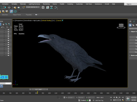 Realistic Animated Raven 3D Model