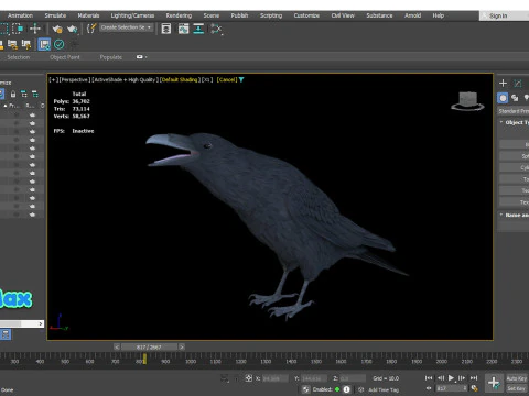 Corvo animato realistico Modello 3D