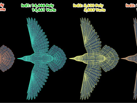 Corvo animato realistico Modello 3D