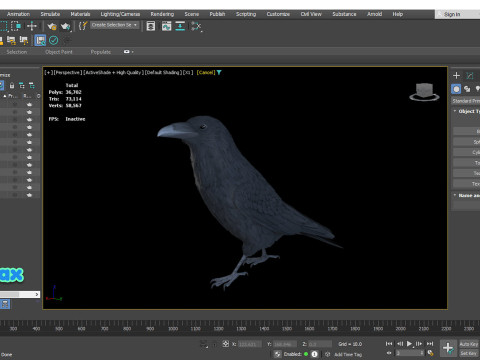 Realistic Animated Raven 3D Model