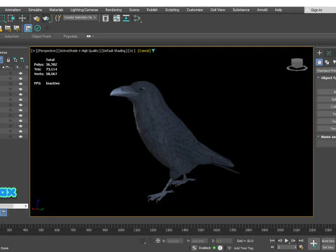 Corvo animato realistico Modello 3D