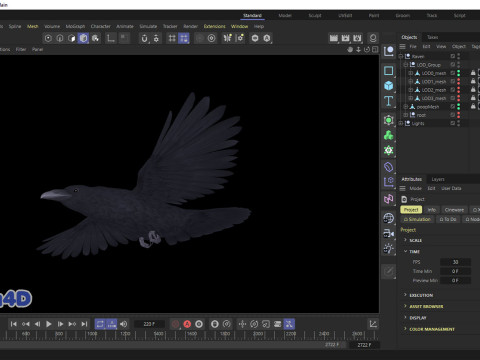 Realistic Animated Raven 3D Model