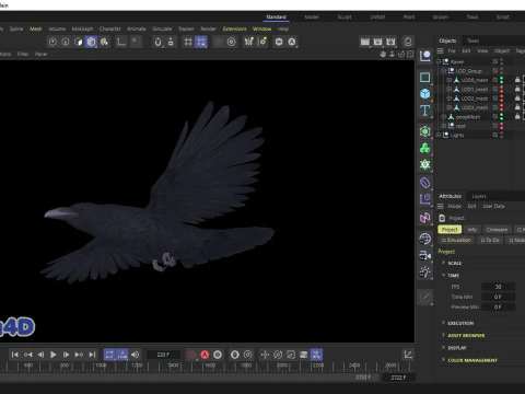 Corvo animato realistico Modello 3D