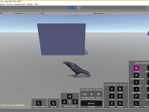 Corvo animato realistico Modello 3D