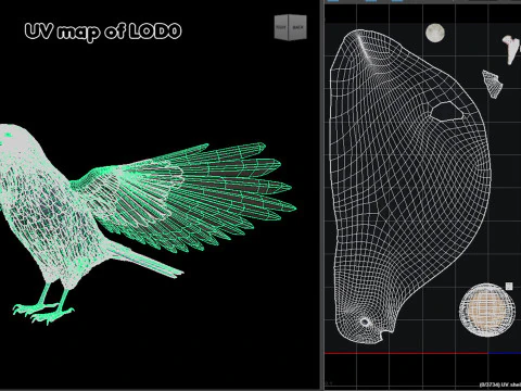 Corvo animato realistico Modello 3D