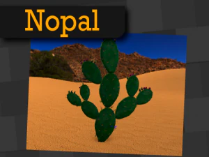 plantasdeserticas 3D Model
