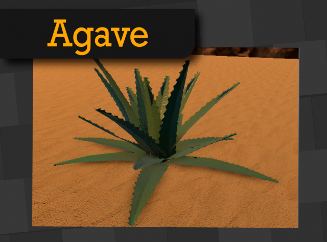 agave americana 3D Модель .c4d .max .obj .3ds .fbx .stl .blend 