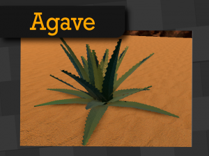agave americana 3D मॉडल