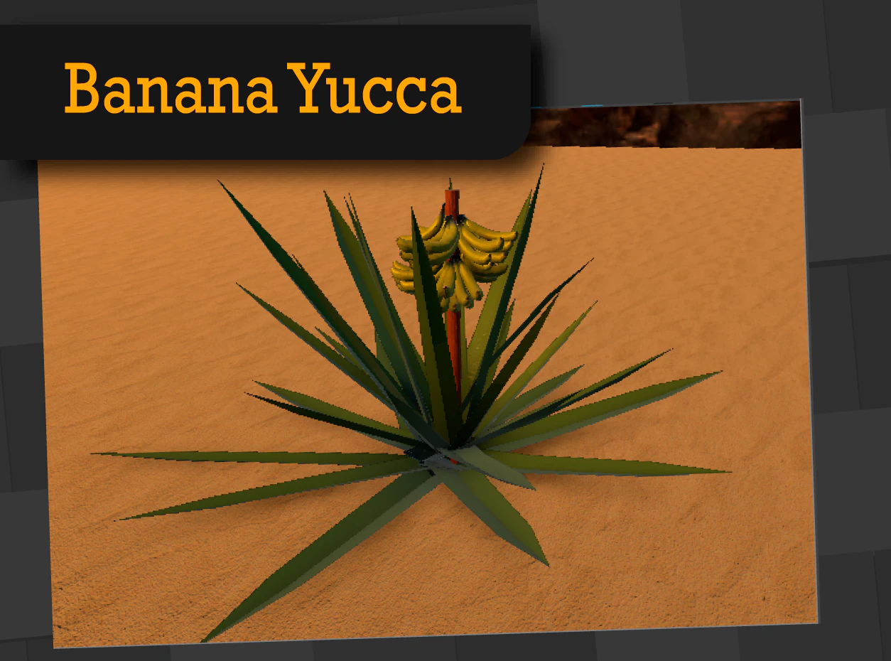 banana yucca 3D Model .c4d .max .obj .3ds .fbx .stl .blend 