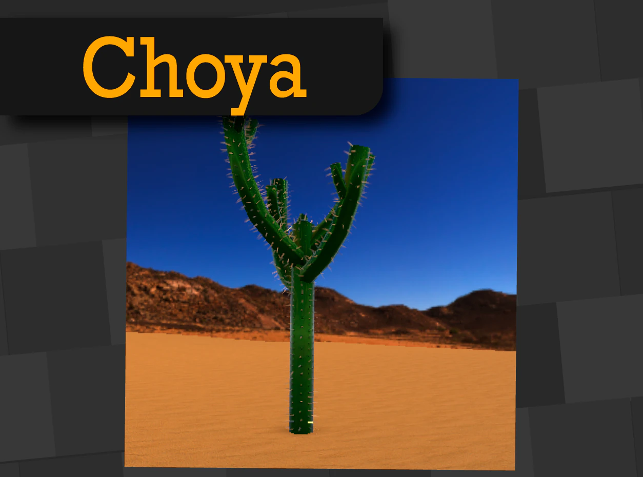 choya 3D Model .c4d .max .obj .3ds .fbx .stl .blend 