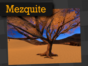 mezquite 3D मॉडल