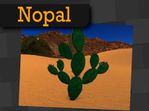 nopal 3D मॉडल