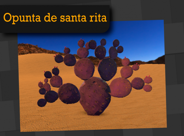opunta santa rita Modelo 3D .c4d .max .obj .3ds .fbx .stl .blend 