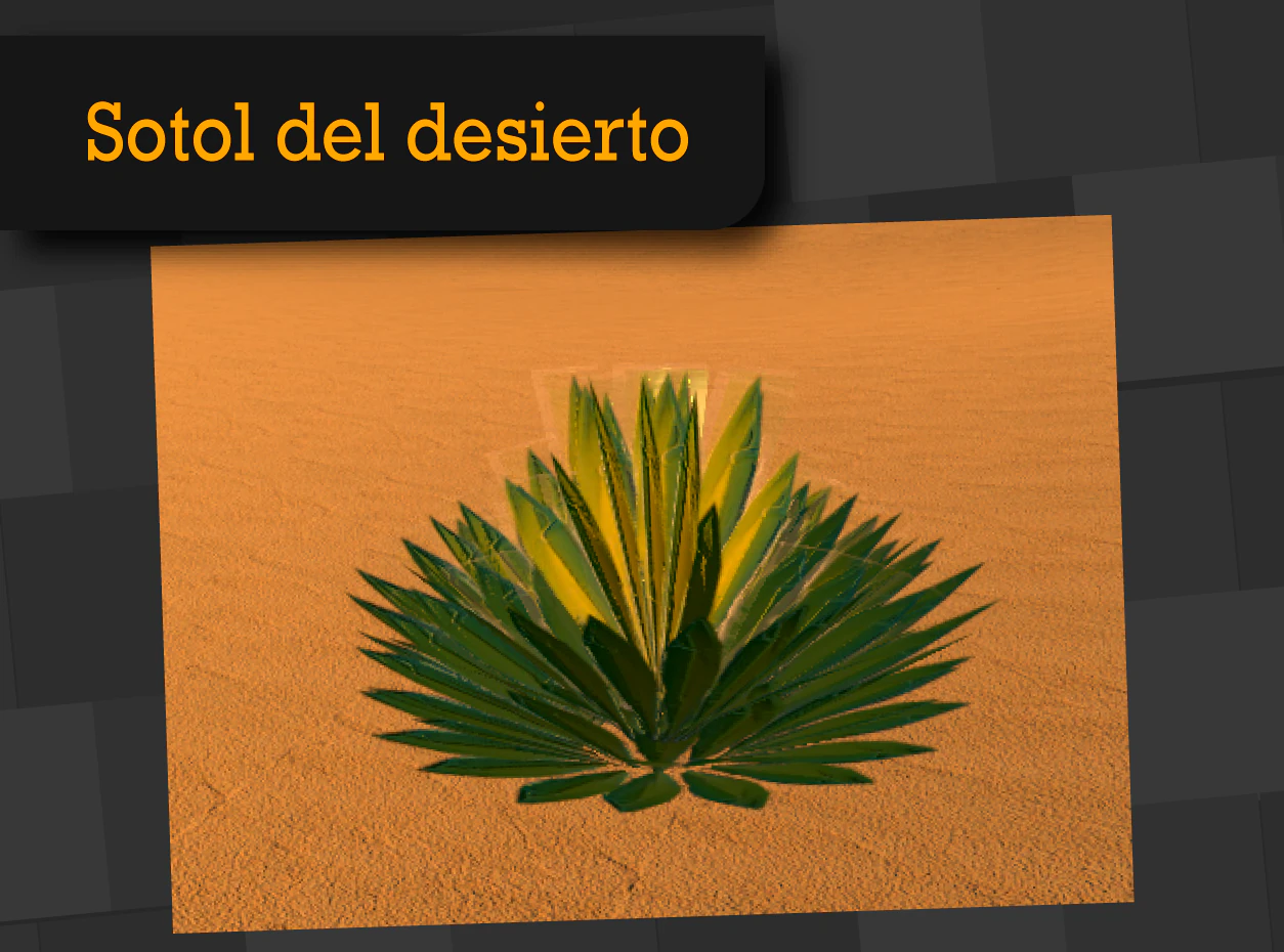 sotol del desierto 3D Model .c4d .max .obj .3ds .fbx .stl .blend