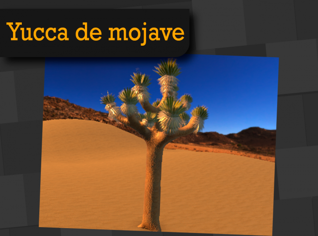 yucca de mojave 3D 모델 .c4d .max .obj .3ds .fbx .stl .blend 