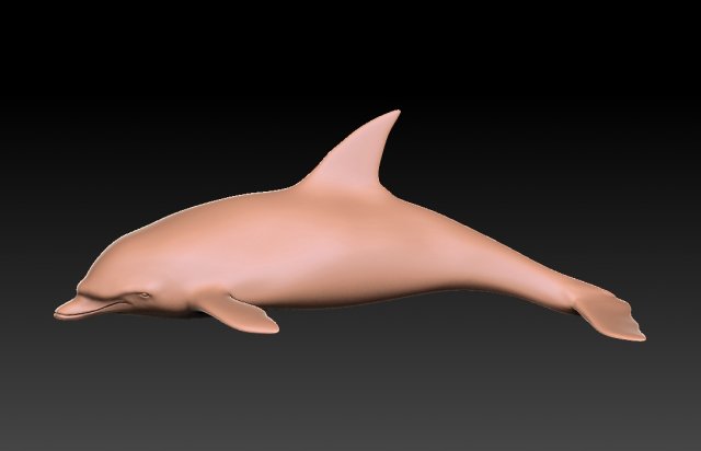 dolphine 3D मॉडल .c4d .max .obj .3ds .fbx .stl .blend 